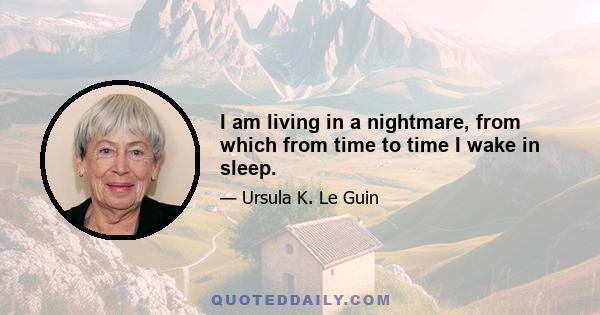I am living in a nightmare, from which from time to time I wake in sleep.
