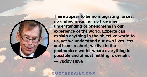 There appear to be no integrating forces, no unified meaning, no true inner understanding of phenomena in our experience of the world. Experts can explain anything in the objective world to us, yet we understand our own