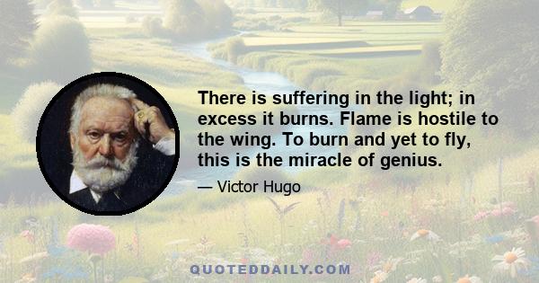 There is suffering in the light; in excess it burns. Flame is hostile to the wing. To burn and yet to fly, this is the miracle of genius.