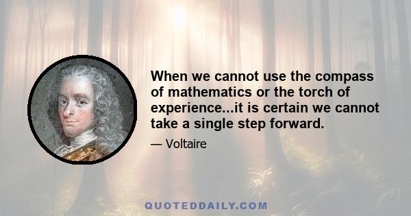 When we cannot use the compass of mathematics or the torch of experience...it is certain we cannot take a single step forward.