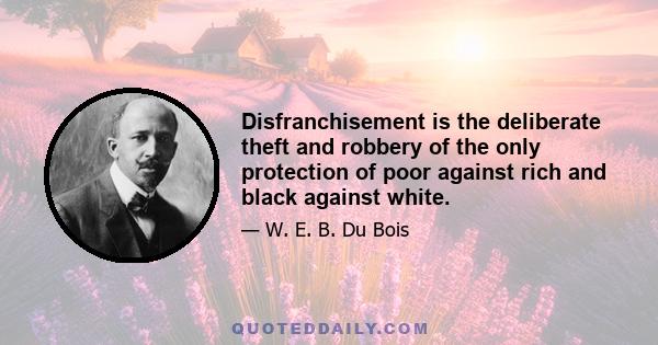 Disfranchisement is the deliberate theft and robbery of the only protection of poor against rich and black against white.