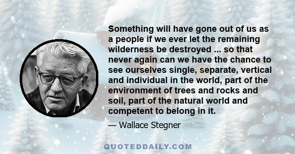 Something will have gone out of us as a people if we ever let the remaining wilderness be destroyed ... so that never again can we have the chance to see ourselves single, separate, vertical and individual in the world,