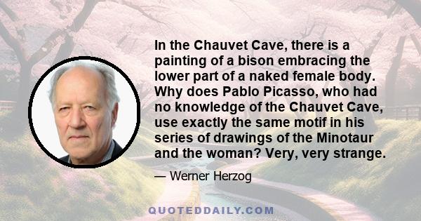 In the Chauvet Cave, there is a painting of a bison embracing the lower part of a naked female body. Why does Pablo Picasso, who had no knowledge of the Chauvet Cave, use exactly the same motif in his series of drawings
