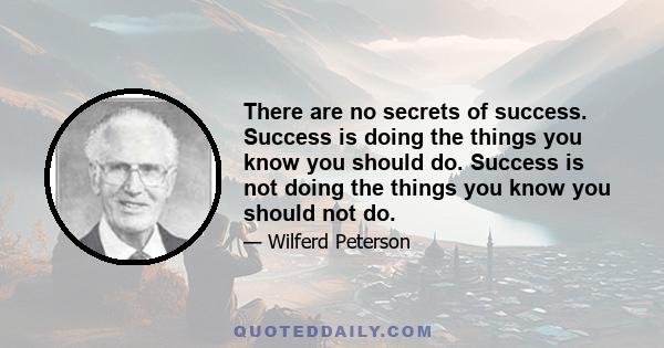 There are no secrets of success. Success is doing the things you know you should do. Success is not doing the things you know you shouldn't do. Success is not limited to any one area of your life. It encompasses all the