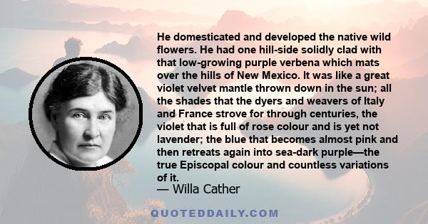 He domesticated and developed the native wild flowers. He had one hill-side solidly clad with that low-growing purple verbena which mats over the hills of New Mexico. It was like a great violet velvet mantle thrown down