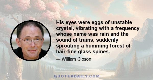 His eyes were eggs of unstable crystal, vibrating with a frequency whose name was rain and the sound of trains, suddenly sprouting a humming forest of hair-fine glass spines.