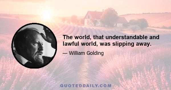 The world, that understandable and lawful world, was slipping away.