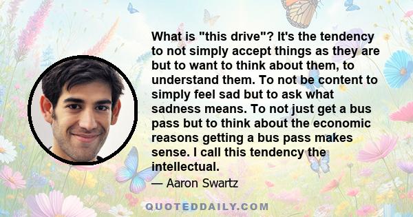 What is this drive? It's the tendency to not simply accept things as they are but to want to think about them, to understand them. To not be content to simply feel sad but to ask what sadness means. To not just get a