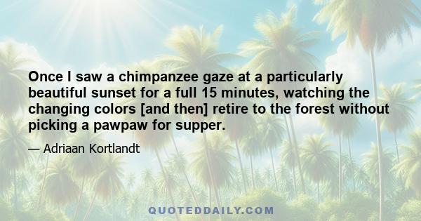 Once I saw a chimpanzee gaze at a particularly beautiful sunset for a full 15 minutes, watching the changing colors [and then] retire to the forest without picking a pawpaw for supper.