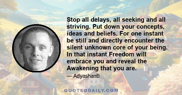 Stop all delays, all seeking and all striving. Put down your concepts, ideas and beliefs. For one instant be still and directly encounter the silent unknown core of your being. In that instant Freedom will embrace you