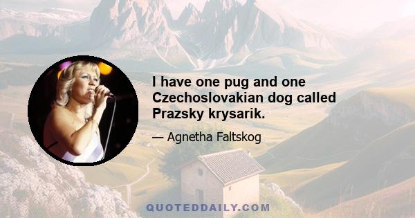 I have one pug and one Czechoslovakian dog called Prazsky krysarik.