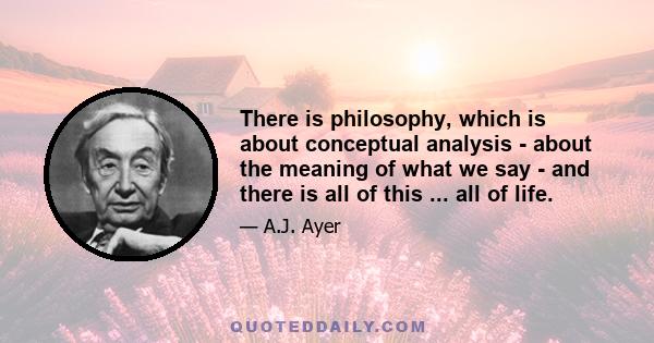 There is philosophy, which is about conceptual analysis - about the meaning of what we say - and there is all of this ... all of life.