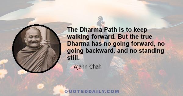 The Dharma Path is to keep walking forward. But the true Dharma has no going forward, no going backward, and no standing still.