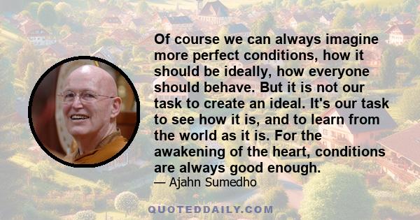 Of course we can always imagine more perfect conditions, how it should be ideally, how everyone should behave. But it is not our task to create an ideal. It's our task to see how it is, and to learn from the world as it 