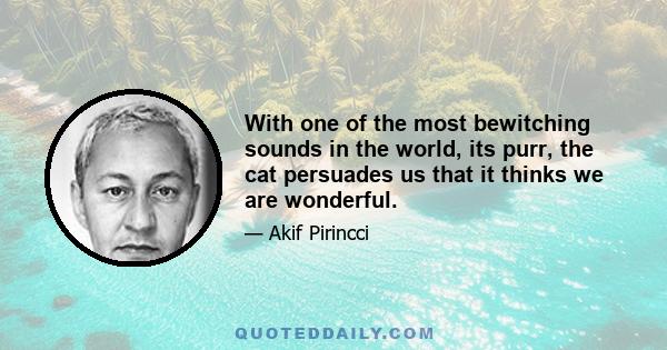 With one of the most bewitching sounds in the world, its purr, the cat persuades us that it thinks we are wonderful.