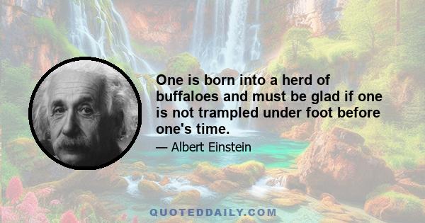 One is born into a herd of buffaloes and must be glad if one is not trampled under foot before one's time.