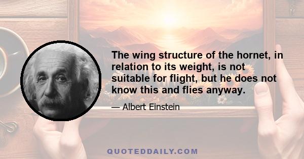 The wing structure of the hornet, in relation to its weight, is not suitable for flight, but he does not know this and flies anyway.