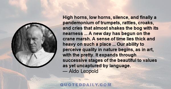 High horns, low horns, silence, and finally a pandemonium of trumpets, rattles, croaks, and cries that almost shakes the bog with its nearness ... A new day has begun on the crane marsh. A sense of time lies thick and