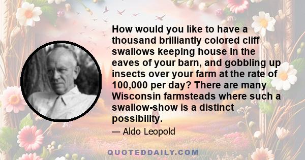 How would you like to have a thousand brilliantly colored cliff swallows keeping house in the eaves of your barn, and gobbling up insects over your farm at the rate of 100,000 per day? There are many Wisconsin