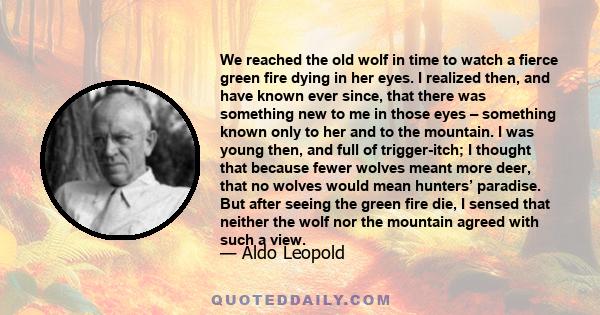 We reached the old wolf in time to watch a fierce green fire dying in her eyes. I realized then, and have known ever since, that there was something new to me in those eyes – something known only to her and to the