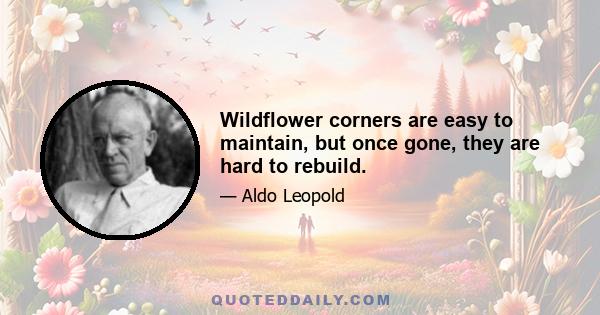 Wildflower corners are easy to maintain, but once gone, they are hard to rebuild.