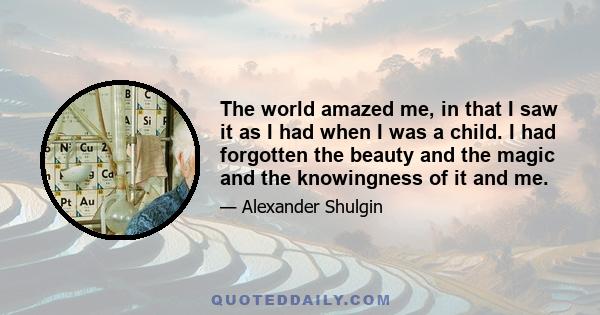 The world amazed me, in that I saw it as I had when I was a child. I had forgotten the beauty and the magic and the knowingness of it and me.