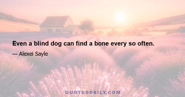 Even a blind dog can find a bone every so often.
