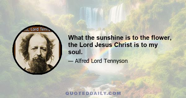 What the sunshine is to the flower, the Lord Jesus Christ is to my soul.