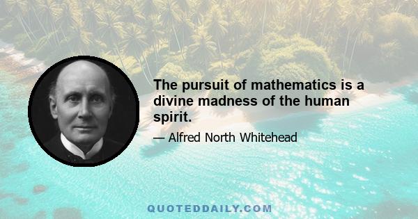 The pursuit of mathematics is a divine madness of the human spirit.