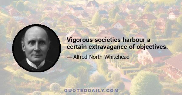 Vigorous societies harbour a certain extravagance of objectives.