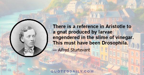 There is a reference in Aristotle to a gnat produced by larvae engendered in the slime of vinegar. This must have been Drosophila.