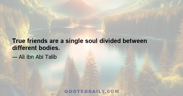 True friends are a single soul divided between different bodies.