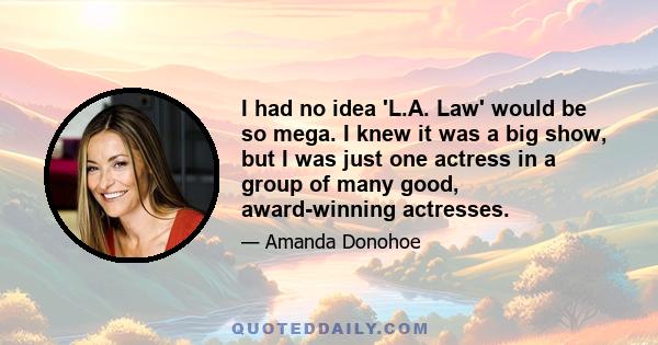 I had no idea 'L.A. Law' would be so mega. I knew it was a big show, but I was just one actress in a group of many good, award-winning actresses.