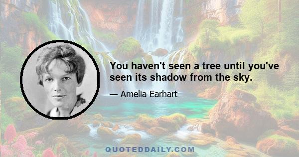 You haven't seen a tree until you've seen its shadow from the sky.