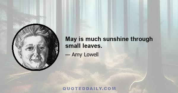 May is much sunshine through small leaves.