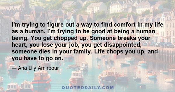 I'm trying to figure out a way to find comfort in my life as a human. I'm trying to be good at being a human being. You get chopped up. Someone breaks your heart, you lose your job, you get disappointed, someone dies in 