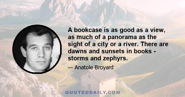 A bookcase is as good as a view, as much of a panorama as the sight of a city or a river. There are dawns and sunsets in books - storms and zephyrs.