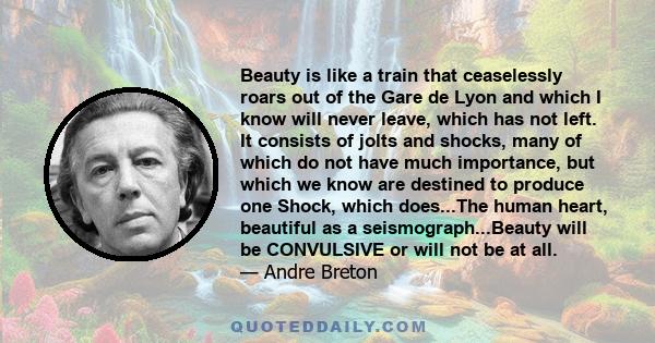 Beauty is like a train that ceaselessly roars out of the Gare de Lyon and which I know will never leave, which has not left. It consists of jolts and shocks, many of which do not have much importance, but which we know