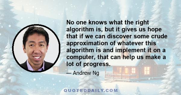 No one knows what the right algorithm is, but it gives us hope that if we can discover some crude approximation of whatever this algorithm is and implement it on a computer, that can help us make a lot of progress.