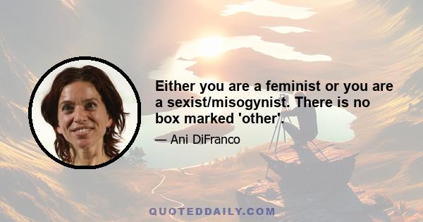 Either you are a feminist or you are a sexist/misogynist. There is no box marked 'other'.