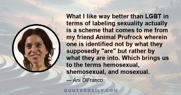 What I like way better than LGBT in terms of labeling sexuality actually is a scheme that comes to me from my friend Animal Prufrock wherein one is identified not by what they supposedly are but rather by what they are