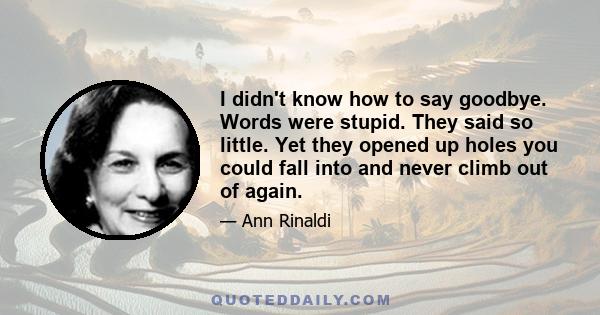 I didn't know how to say goodbye. Words were stupid. They said so little. Yet they opened up holes you could fall into and never climb out of again.