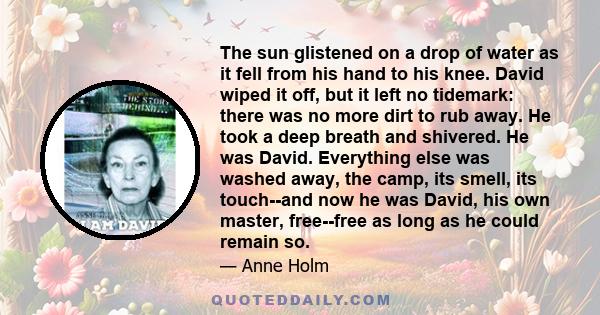 The sun glistened on a drop of water as it fell from his hand to his knee. David wiped it off, but it left no tidemark: there was no more dirt to rub away. He took a deep breath and shivered. He was David. Everything