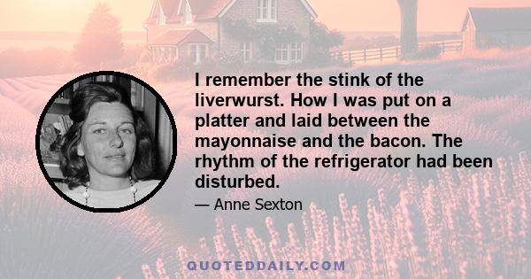 I remember the stink of the liverwurst. How I was put on a platter and laid between the mayonnaise and the bacon. The rhythm of the refrigerator had been disturbed.