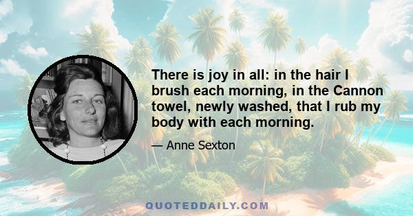 There is joy in all: in the hair I brush each morning, in the Cannon towel, newly washed, that I rub my body with each morning.