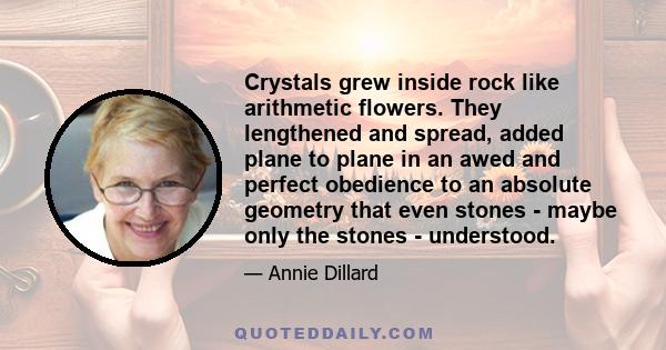 Crystals grew inside rock like arithmetic flowers. They lengthened and spread, added plane to plane in an awed and perfect obedience to an absolute geometry that even stones - maybe only the stones - understood.