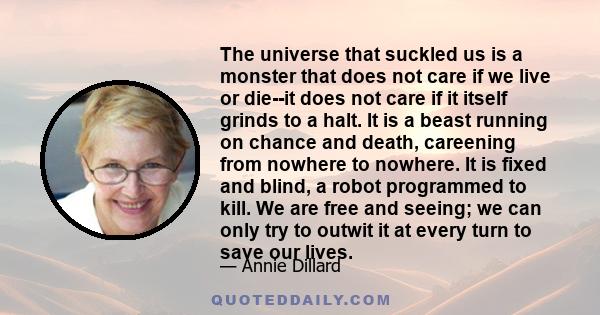 The universe that suckled us is a monster that does not care if we live or die--it does not care if it itself grinds to a halt. It is a beast running on chance and death, careening from nowhere to nowhere. It is fixed