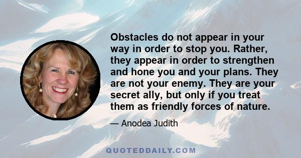 Obstacles do not appear in your way in order to stop you. Rather, they appear in order to strengthen and hone you and your plans. They are not your enemy. They are your secret ally, but only if you treat them as