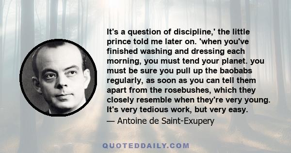 It's a question of discipline, the little prince told me later on. When you've finished washing and dressing each morning, you must tend your planet.