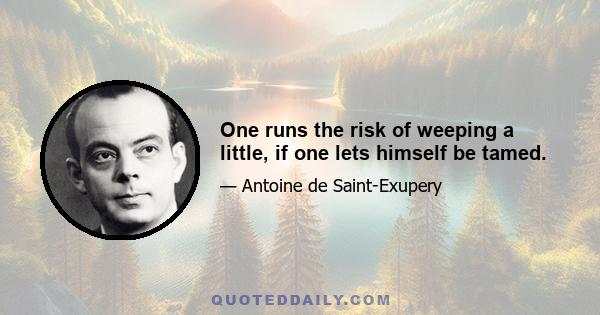 One runs the risk of weeping a little, if one lets himself be tamed.